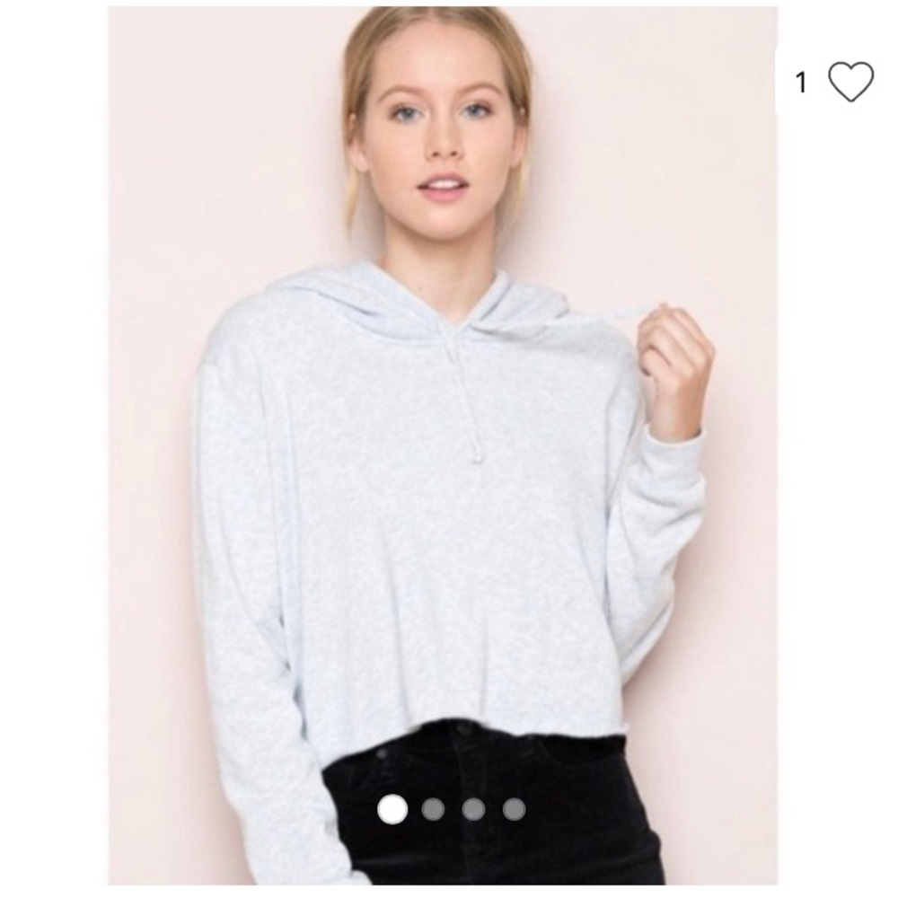 Cropped Brandy Melville Hoodie